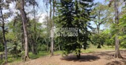 Venta de Terreno con Casa y Naciente de Agua en Omoa Cortes Honduras