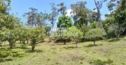 Venta de Terreno con Casa y Naciente de Agua en Omoa Cortes Honduras