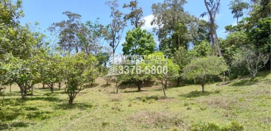 Venta de Terreno con Casa y Naciente de Agua en Omoa Cortes Honduras