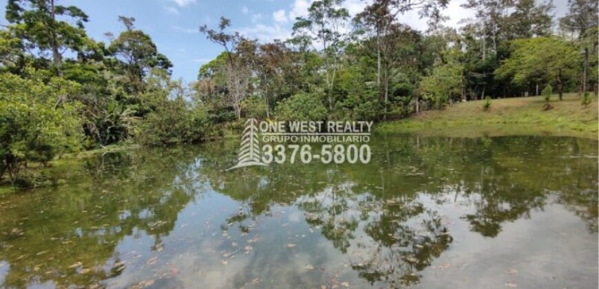Venta de Terreno con Casa y Naciente de Agua en Omoa Cortes Honduras