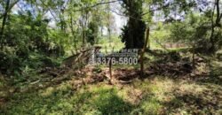 Venta de Terreno con Casa y Naciente de Agua en Omoa Cortes Honduras