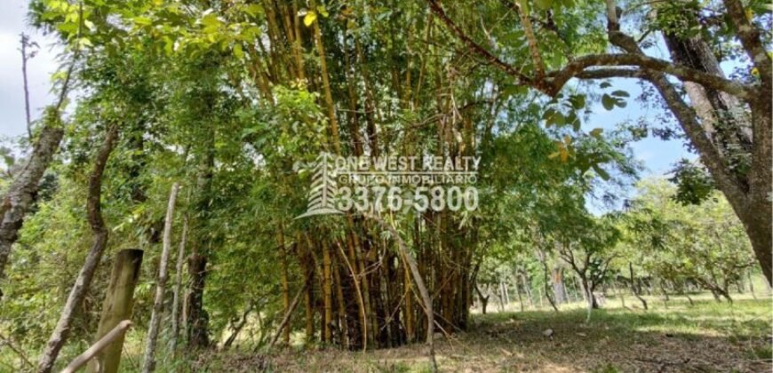 Venta de Terreno con Casa y Naciente de Agua en Omoa Cortes Honduras