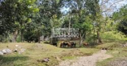 Venta de Terreno con Casa y Naciente de Agua en Omoa Cortes Honduras