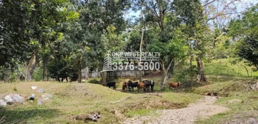 Venta de Terreno con Casa y Naciente de Agua en Omoa Cortes Honduras