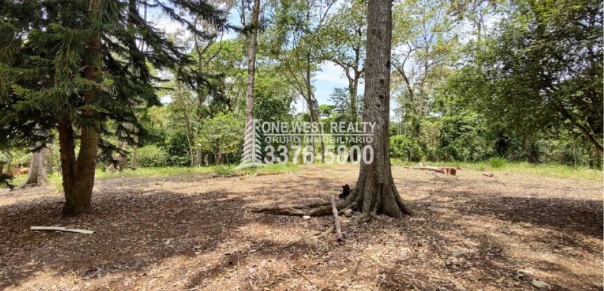 Venta de Terreno con Casa y Naciente de Agua en Omoa Cortes Honduras