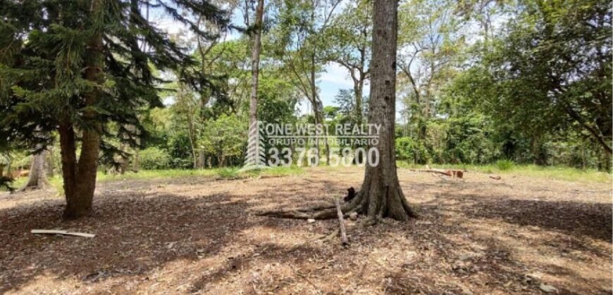 Venta de Terreno con Casa y Naciente de Agua en Omoa Cortes Honduras