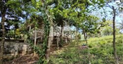 Venta de Terreno con Casa y Naciente de Agua en Omoa Cortes Honduras