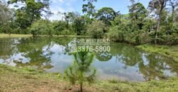 Venta de Terreno con Casa y Naciente de Agua en Omoa Cortes Honduras