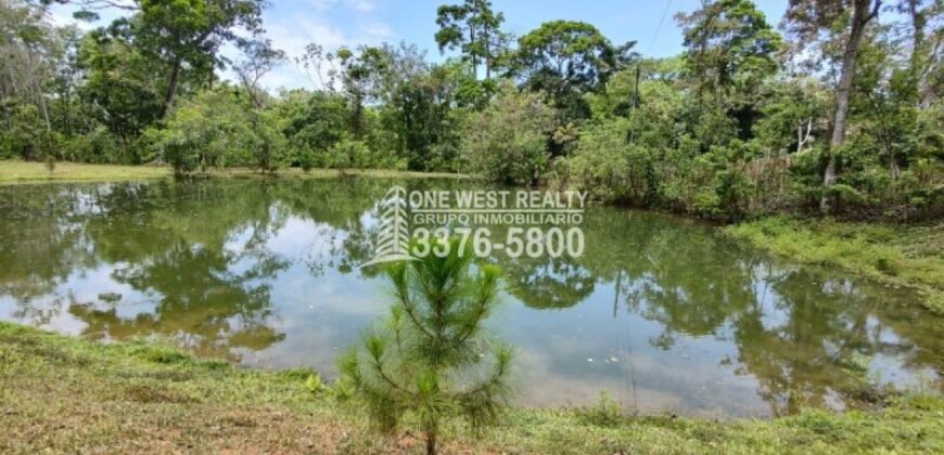 Venta de Terreno con Casa y Naciente de Agua en Omoa Cortes Honduras
