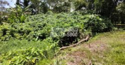 Venta de Terreno con Casa y Naciente de Agua en Omoa Cortes Honduras
