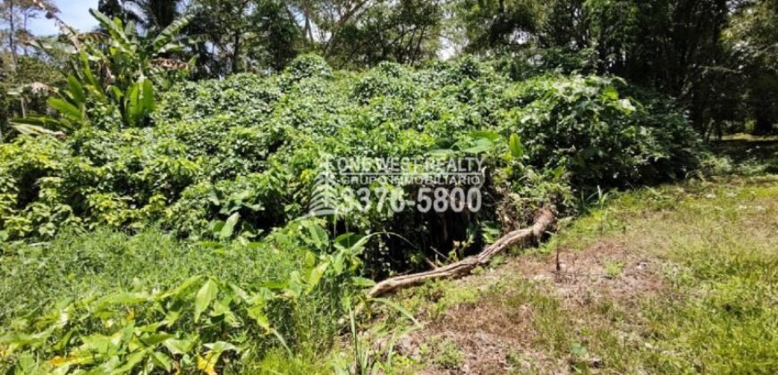 Venta de Terreno con Casa y Naciente de Agua en Omoa Cortes Honduras