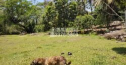 Venta de Terreno con Casa y Naciente de Agua en Omoa Cortes Honduras