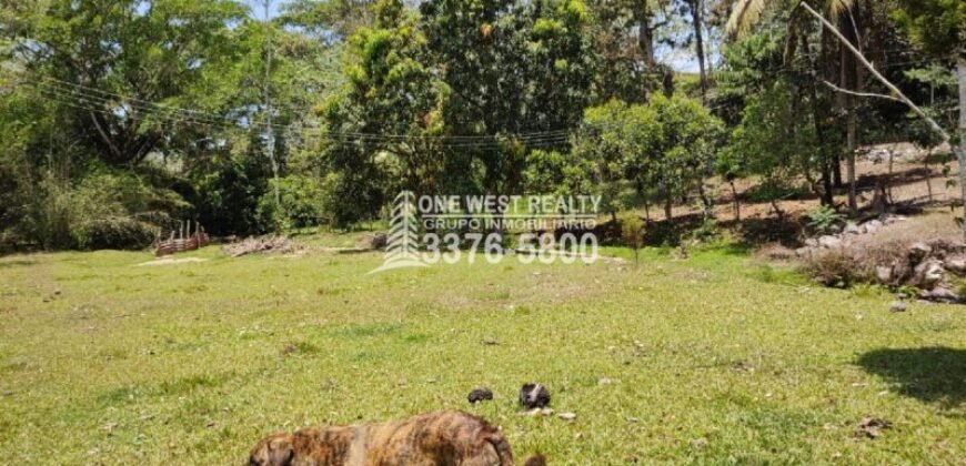 Venta de Terreno con Casa y Naciente de Agua en Omoa Cortes Honduras