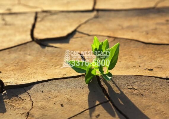 Daños Climáticos Causan Pérdidas de $4,3 Billones En 50 Años