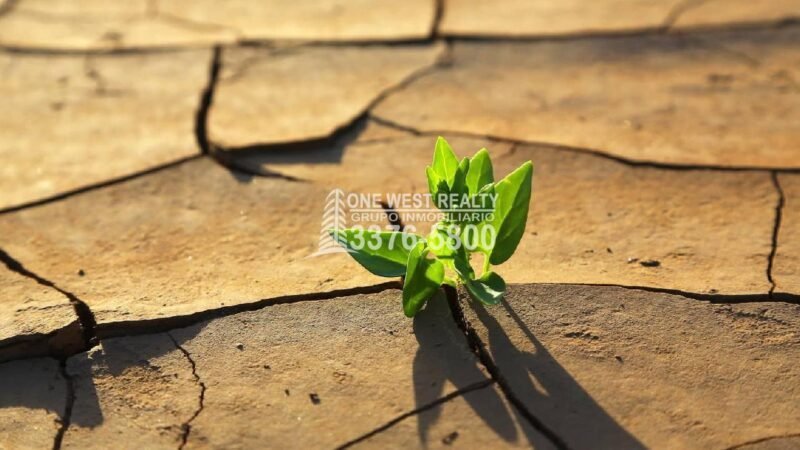 Daños Climáticos Causan Pérdidas de $4,3 Billones En 50 Años 1westrealty