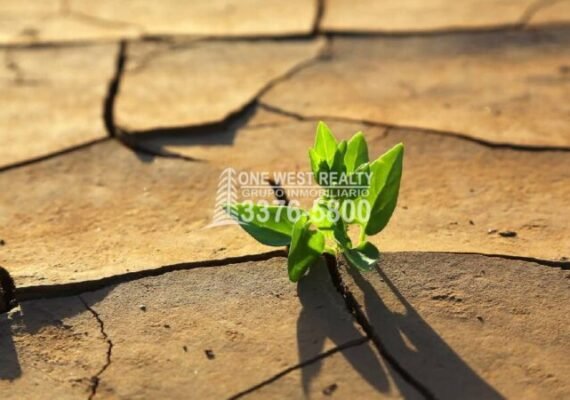 Daños Climáticos Causan Pérdidas de $4,3 Billones En 50 Años