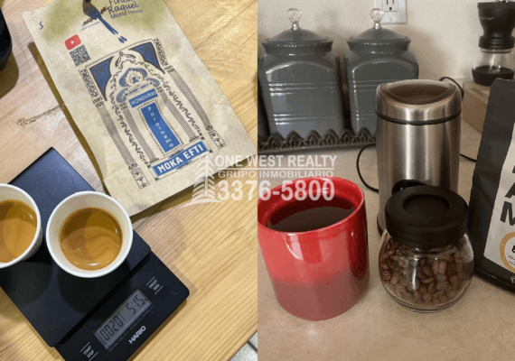 Exportaciones de Café Suben un 4% e Ingresos Bajan un 12%