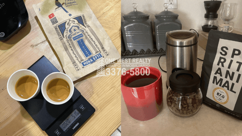 Exportaciones de Café Suben un 4% e Ingresos Bajan un 12% 1westrealty