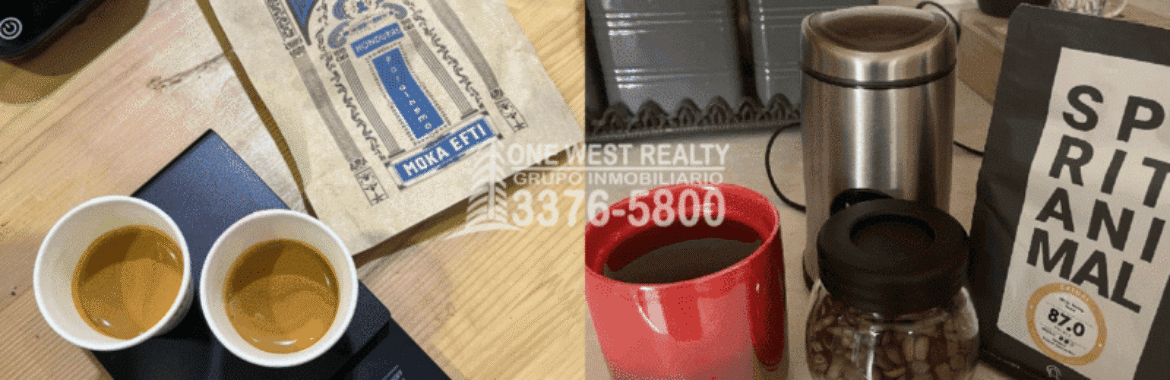 Exportaciones de Café Suben un 4% e Ingresos Bajan un 12%