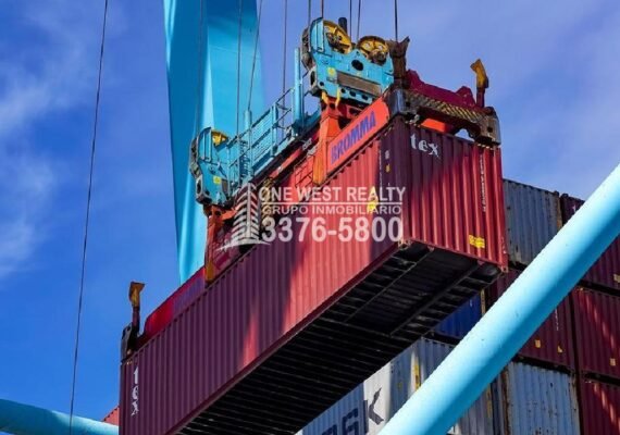 Producción de Naranjas Presentan Altos Costos de Importación