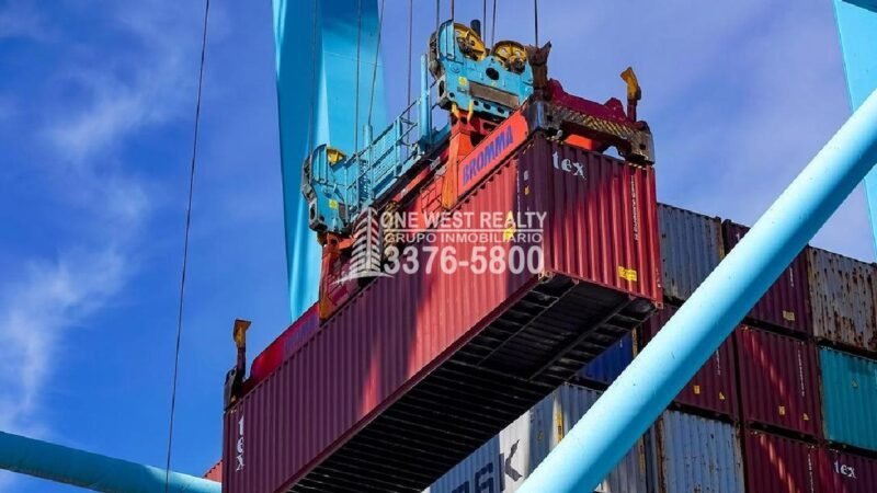 Producción de Naranjas Presentan Altos Costos de Importación 1westrealty