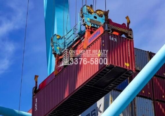 Producción de Naranjas Presentan Altos Costos de Importación