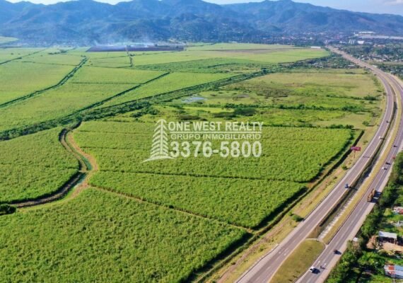 Comisión De seguridad Resolverá Crisis Agraria en Honduras