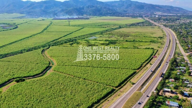 Comisión De seguridad Resolverá Crisis Agraria en Honduras 1westrealty