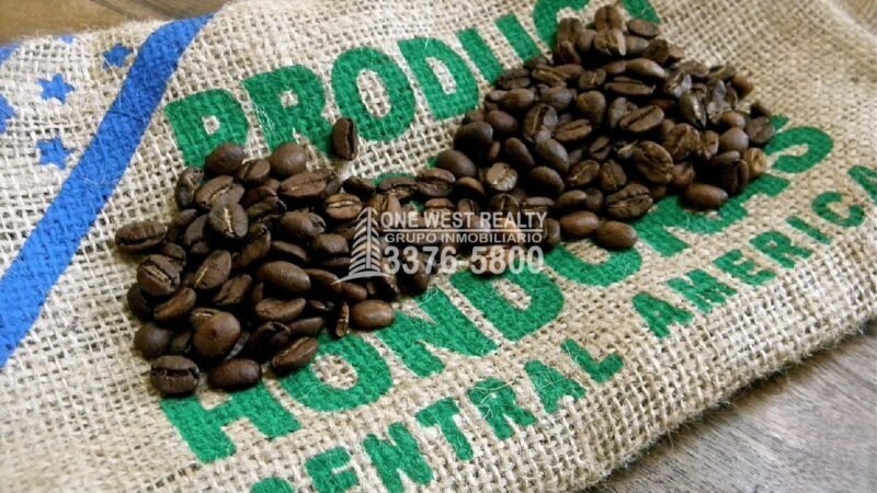 El Senasa Aprueba Exportación de Café a China 1westrealty