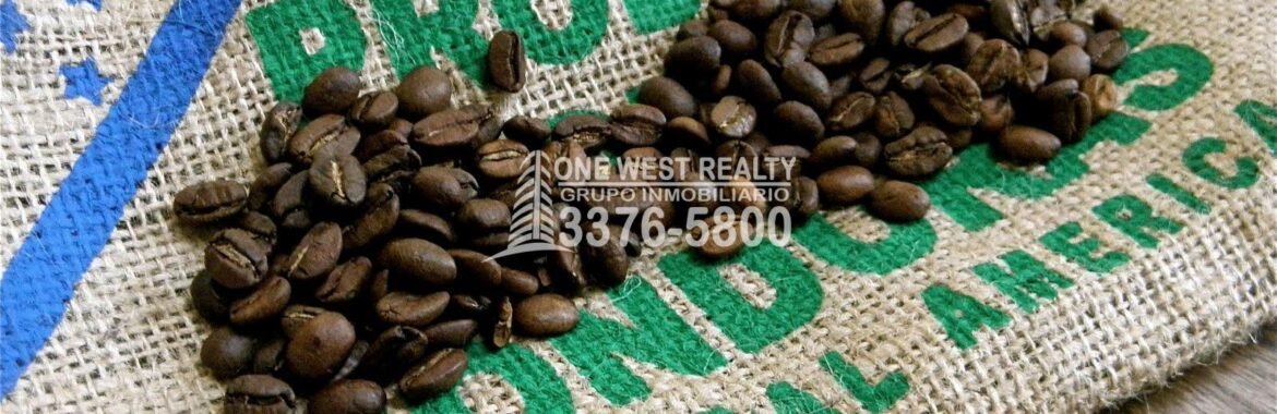 Productos Hondureños en Exhibición en Feria  China