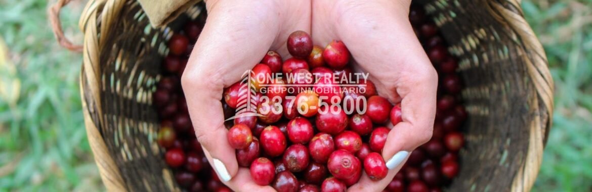 Honduras se une a la Feria de Importaciones en Shanghái, China