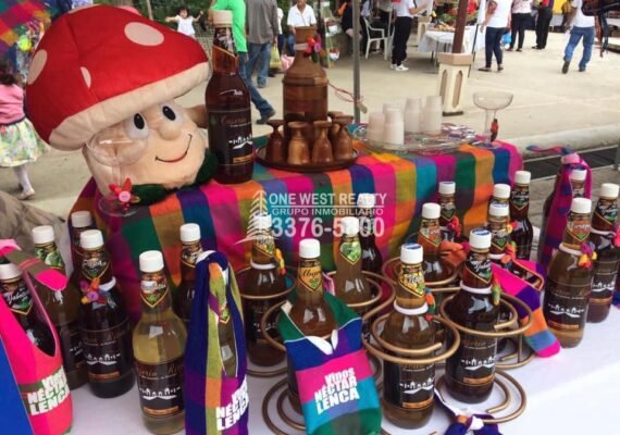 XVII Festival Nacional en Honduras del Choro y el Vino