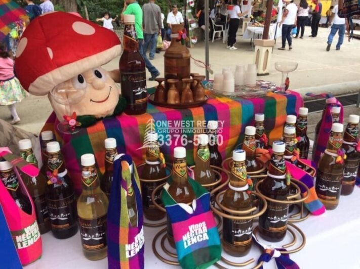 XVII Festival Nacional en Honduras del Choro y el Vino