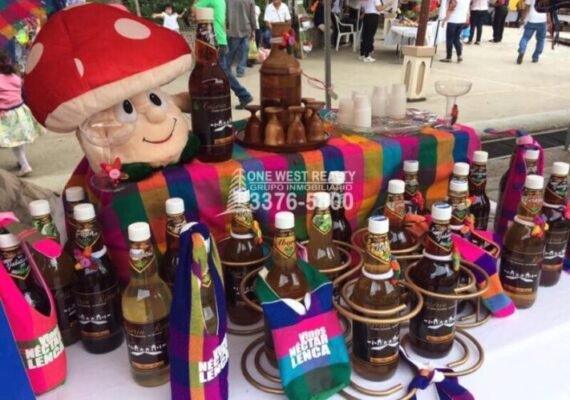 XVII Festival Nacional en Honduras del Choro y el Vino