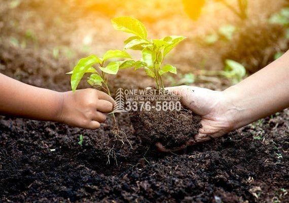 Alianza histórica entre Honduras y la Unión Europea para la restauración forestal y el desarrollo sostenible