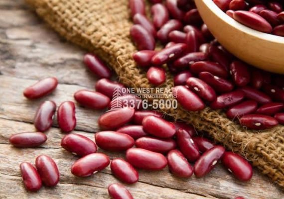 Cosecha histórica de granos básicos en Honduras a pesar del desafío climático