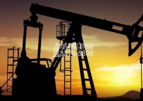 El precio del petróleo Brent cae un 0.08%, llegando a los 76.55 dólares.
