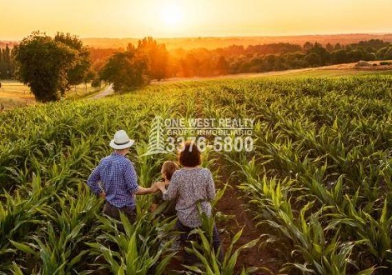 Honduras Encabeza Iniciativa Verde en el Sector Ganadero para Combatir el Cambio Climático