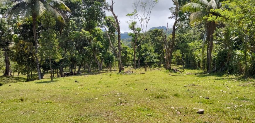 Terreno de venta en Omoa Cortes con naciente de agua y cabañas