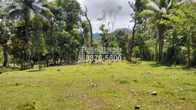 Terreno de venta en Omoa Cortes con naciente de agua y cabañas