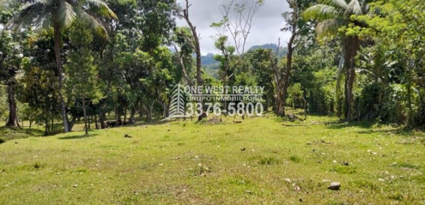 Terreno de venta en Omoa Cortes con naciente de agua y cabañas