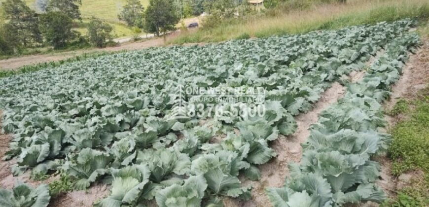 Terreno en venta a orilla de carretera en La Esperanza Intibuca Honduras