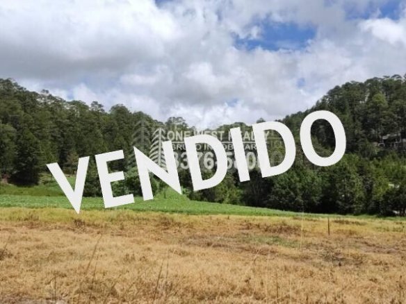 TERRENO LA ESPERANZA