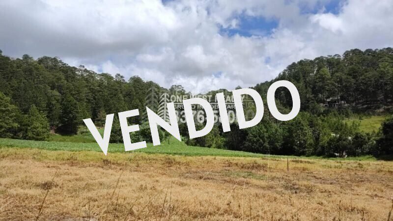 TERRENO LA ESPERANZA