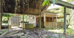 Terreno de venta en Omoa Cortes con naciente de agua y cabañas