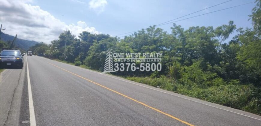 Terreno de venta en Omoa Cortes con naciente de agua y cabañas