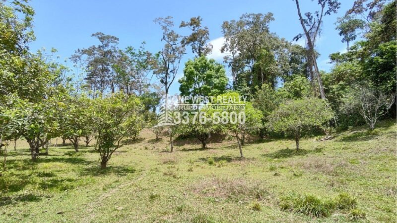 Terreno de venta en Omoa Cortes con naciente de agua y cabañas