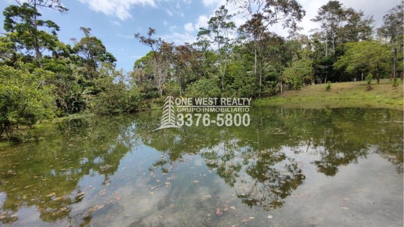 Terreno de venta en Omoa Cortes con naciente de agua y cabañas
