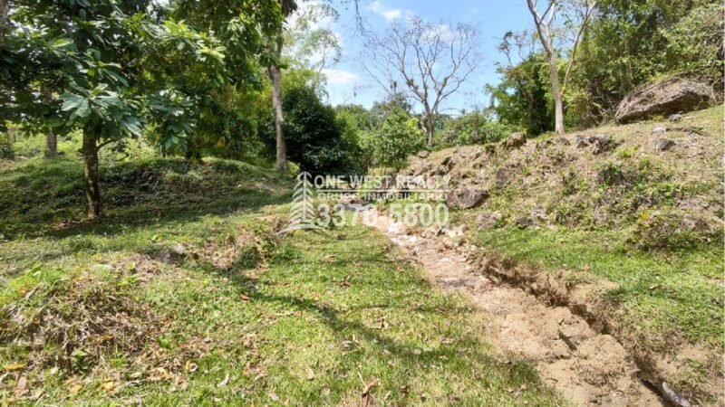 Terreno de venta en Omoa Cortes con naciente de agua y cabañas