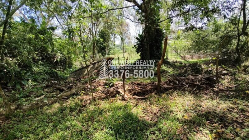 Terreno de venta en Omoa Cortes con naciente de agua y cabañas